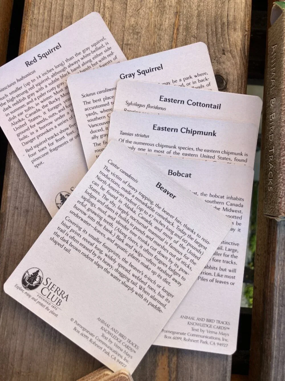 📚 Vintage Knowledge Cards Lot History Presidents Animal Tracks
